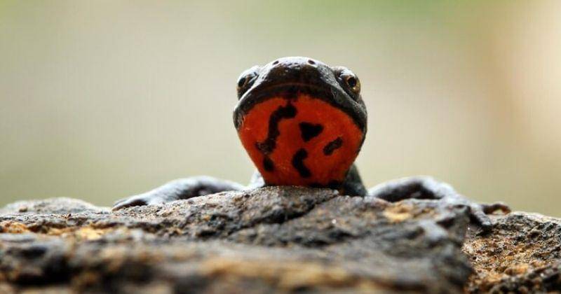 Freepik/kuritafsheen77